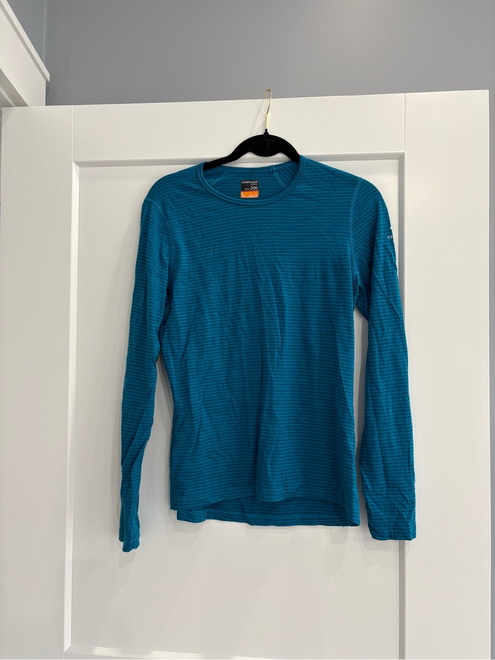 Icebreaker Merino Wool Base Layer Top